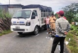 Diễn biến sức khỏe tài xế liên quan vụ tai nạn giao thông làm bé gái ở Vĩnh Long tử vong
