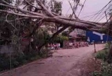 Dông lốc đầu hè ở Yên Bái, 1 người bị thương, gần 60 ngôi nhà hư hỏng