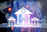 NHNN chưa cấp phép cho bất kỳ sàn Forex nào tại Việt Nam