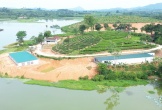 Trại lợn không phép 