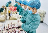 Nghệ An thiếu hụt nguồn máu điều trị bệnh