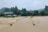 Đi giúp con chống lũ, người cha bị điện giật tử vong
