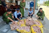 Cả hệ thống chính trị Nghệ An vào cuộc quyết liệt chống hàng lậu, hàng giả
