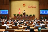 Luật mới đã “điểm mặt chỉ tên” nghệ sĩ quảng cáo sai sự thật