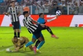 Thảm họa Neymar