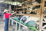 Nghệ An triển khai 7 dự án và dự án thành phần giảm nghèo