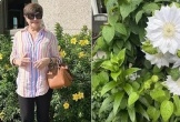 Khu vườn ngập hoa đẹp mê mẩn của vợ cũ Đàm Vĩnh Hưng
