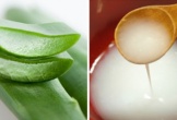 Chuyên gia chia sẻ các bước làm mặt nạ dưỡng da từ nha đam và nước vo gạo