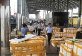  Xử phạt 22 trường hợp khai thác hải sản bất hợp pháp với số tiền gần 200 triệu đồng