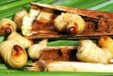 Côn trùng nhìn 'khiếp vía' 600.000 đồng/kg vẫn đắt hàng