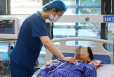 Hái nấm rừng ăn, 4 người trong một gia đình phải nhập viện cấp cứu