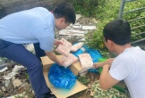 Tỉnh Nghệ An không để thực phẩm bẩn 'lộng hành'