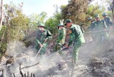 Nghệ An: Nhanh chóng khống chế, dập tắt đám cháy rừng