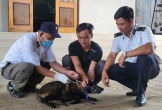 Người đàn ông tử vong vì phát bệnh dại sau 20 ngày bị chó cắn