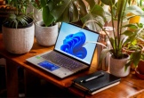 Microsoft cần 1.371 ngày để Windows 11 vượt mặt Windows 10