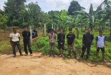 Khởi tố 5 thanh, thiếu niên dàn cảnh cướp giật tài sản, lấy tiền… ăn nhậu