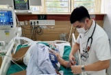 Bị rắn hổ mang chúa cắn, người đàn ông ngừng tim sau 2h đắp thuốc lá