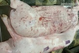 Vụ C.P. Việt Nam bị tố bán heo bệnh: Không khởi tố vụ án vì không có dấu hiệu tội phạm