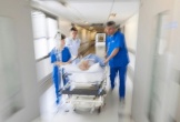 Trèo cây cao cắt tỉa cành tránh bão số 3 Wipha, cụ ông 71 tuổi trượt ngã trọng thương
