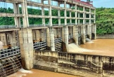 Mưa lớn, nhiều thủy điện ở Nghệ An thông báo xả nước