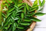 Loại lá thơm phức, tưởng chỉ để làm gia vị lại có lợi đủ đường cho sức khỏe