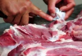 4 dấu hiệu nhận biết thịt lợn nhiễm dịch tả châu Phi bằng mắt thường