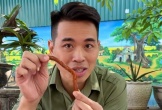 Lê Anh Nuôi lại vướng lùm xùm