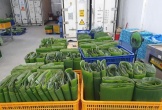 Mặt hàng ít được chú ý gây bất ngờ lớn, mỗi tháng mang về hàng triệu USD cho Việt Nam
