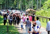 Nghệ An đón 6,2 triệu lượt khách trong 6 tháng đầu năm 2025