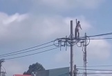 Vụ người phụ nữ leo cột điện tử vong: Công an xác định nạn nhân mắc bệnh tâm thần