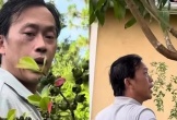 Bên trong nhà vườn bạt ngàn trái cây tại Mỹ của Hoài Linh