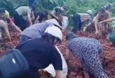 Thông tin bất ngờ về vụ 
