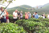 Du lịch Nghệ An thu về hơn 7.300 tỷ đồng