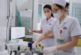 Gần 900 trẻ Nghệ An nhiễm giun, sán chó mèo