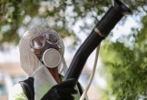 Việt Nam tồn tại nguy cơ bệnh Chikungunya xâm nhập