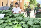 Thanh niên chất đầy c.ầ.n s.a trong ôtô và phòng trọ
