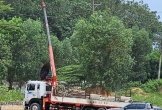 Xe cẩu va trúng điện cao thế, một người chết, một người bị thương