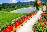 Con đường 40 m rực màu cờ đỏ ở Nghệ An gây sốt