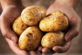 Ăn khoai tây có làm tăng nguy cơ tiểu đường?