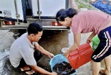 Đêm thức cùng mùa “mực nháy, mực nhảy”