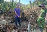 Anh rể phá vườn cây để 