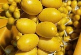 Nguồn gốc chà là tươi vài chục nghìn đồng/kg bán đầy chợ mạng