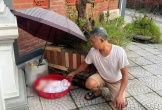 Hai trẻ sơ sinh bị bỏ tại cổng chùa và lời thú nhận của người mẹ