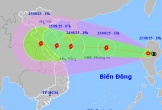 Chủ động ứng phó bão số 5 sắp hình thành có cường độ mạnh, đổ bộ trực tiếp vào đất liền