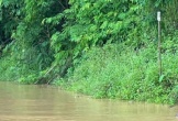 Nghệ An: Phát hiện 2 th.i th.ể chưa rõ danh tính trong bão số 5