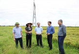Phó Chủ tịch Thường trực UBND tỉnh Bùi Thanh An kiểm tra thiệt hại do bão số 5 tại xã Đông Thành và xã Yên Thành