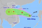 Áp thấp nhiệt đới gây gió giật cấp 9, cách đặc khu Hoàng Sa khoảng 320km