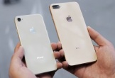 4 mẫu iPhone dù rẻ vẫn nên tránh mua ở thời điểm hiện tại