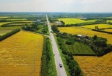 Nghệ An quy định mức thu 50%–70% khi chuyển đất lúa sang phi nông nghiệp