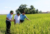 Phó Chủ tịch UBND tỉnh Nguyễn Văn Đệ kiểm tra sản xuất và công tác phòng chống bệnh Dịch tả lợn Châu Phi